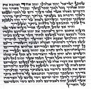 Kosher Parchment Klaf scrolls (10cm) suitable for use in mezuzah